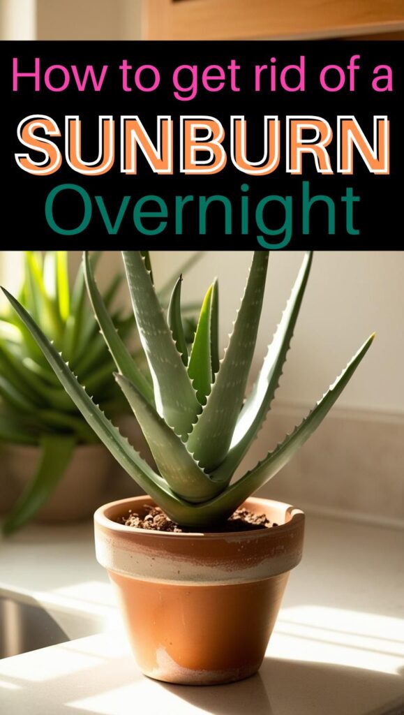 Trying to fade a sunburn fast? These overnight remedies target redness and irritation so you can wake up with calmer, healthier skin.